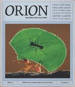 Orion